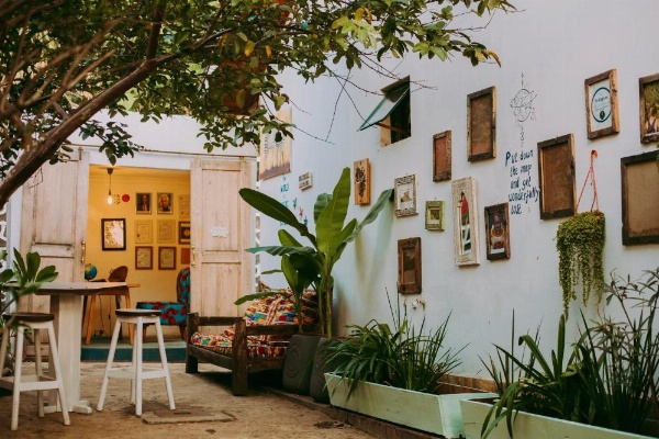 Mambo Hideaway image 29
